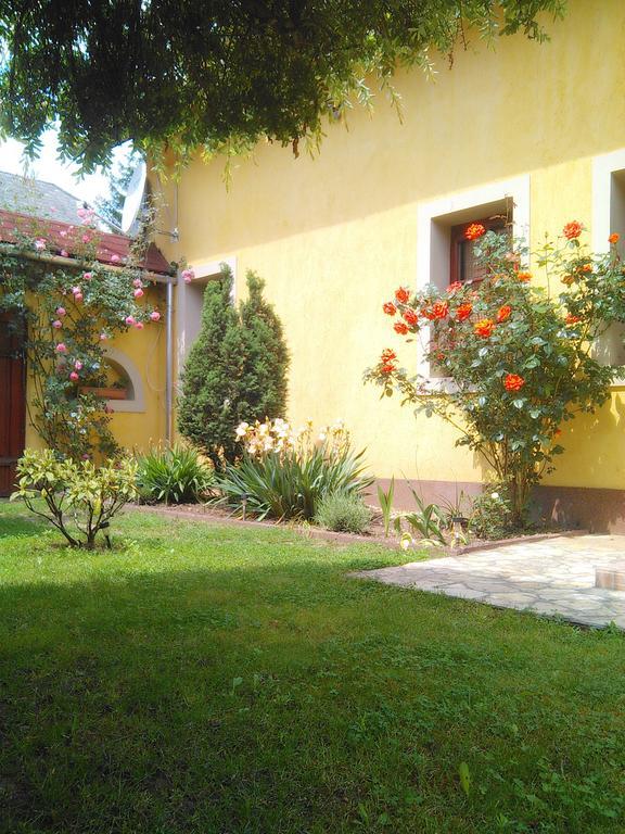 Bed and Breakfast Forras Fogado Bükkszék Exterior foto